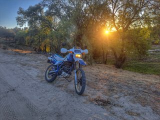 Suzuki DR 600 Djebel Dakar