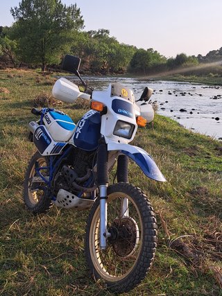 Suzuki DR 600 Djebel Dakar