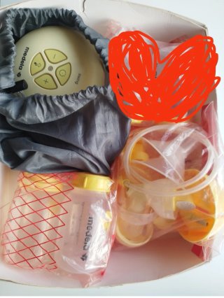 Sacaleches Medela Swing