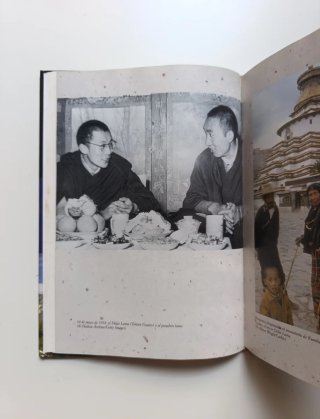El gran libro de los Dalai Lamas.