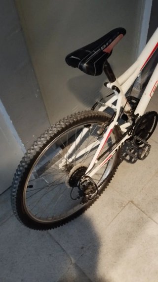 Bicicleta infantil Jr. 24
