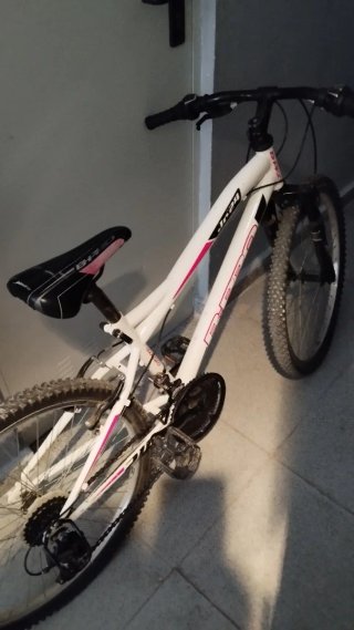 Bicicleta infantil Jr. 24