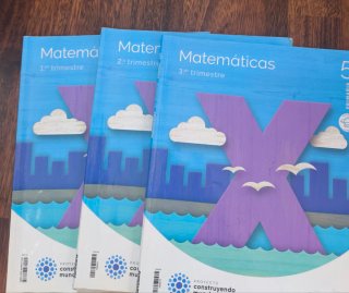 Libros de texto de quinto de primaria .