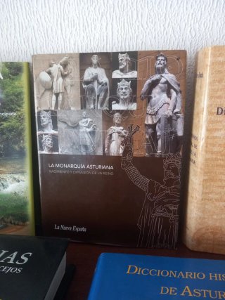 Lote libros sobre Asturias