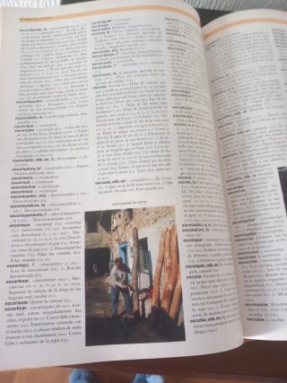 Lote libros sobre Asturias