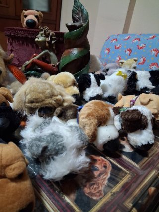 Perritos de peluche colección