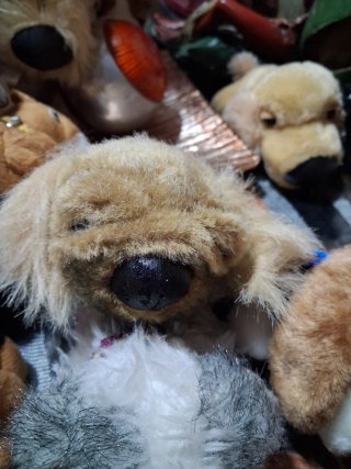 Perritos de peluche colección
