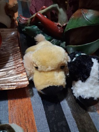 Perritos de peluche colección