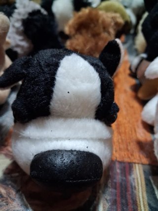 Perritos de peluche colección