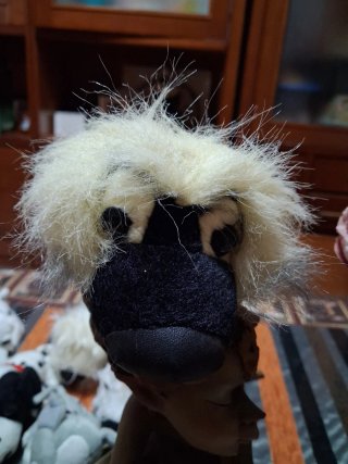 Perritos de peluche colección
