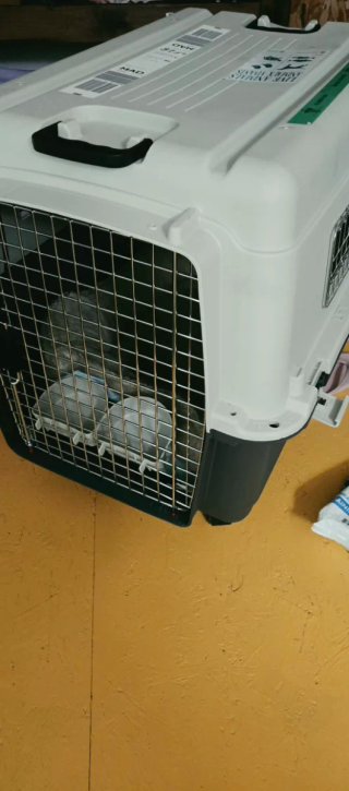 Jaula de Perro para Viajar con Ruedas