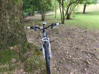 Bicicleta Colouer Rand FS24