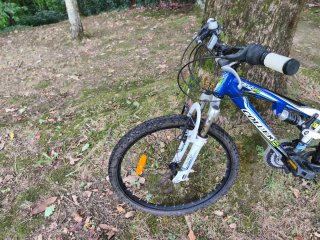 Bicicleta Colouer Rand FS24