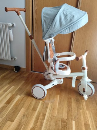 Triciclo Evolutivo