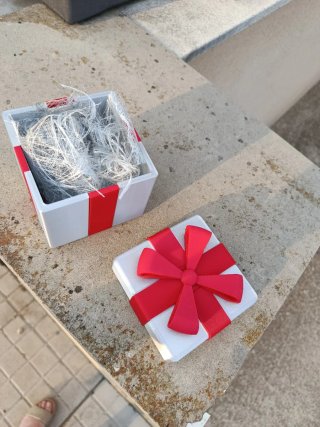 Caja de regalo plateada con lazo rojo