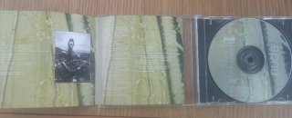 CD Suede Dog Man Star