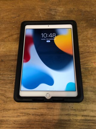 iPad Air 2 64GB Wi-Fi + Celular Plata