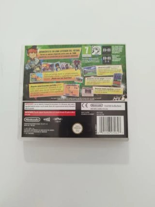 Inazuma Eleven DS