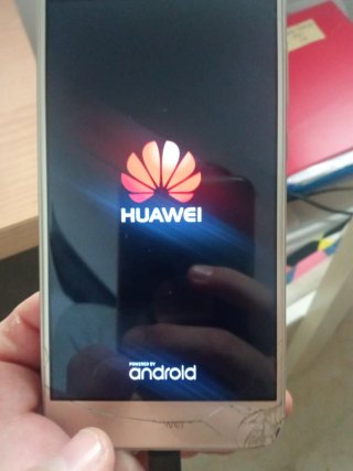Huawei P8 Lite 2017 Dorado/Plateado