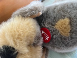 Peluche Trudi cane