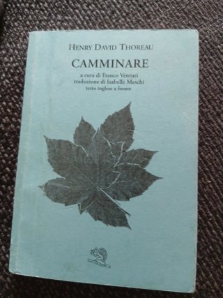 Camminare. Testo inglese a fronte