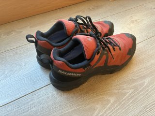 Zapatilla Salomon Exeo Gore-Tex