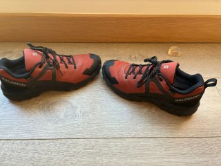 Zapatilla Salomon Exeo Gore-Tex