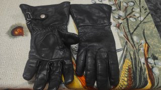 Chaqueta Cuero Garibaldi Nevada y Guantes Levior
