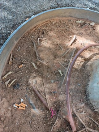 Aceptó Tierra de relleno en bigues i Riells