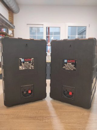 Altavoces Master Audio M65 120w