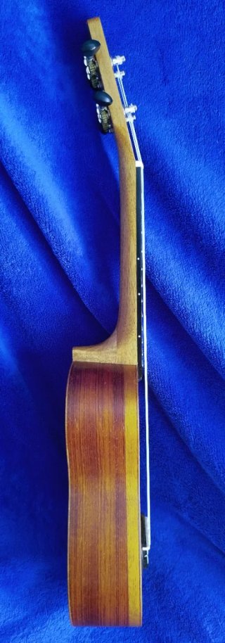 Ukelele Leho sin usar con funda