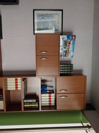 Escritorio y estantería de madera