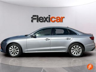 Audi A4 Advanced 30 TDI 100kW (136CV) S tronic
