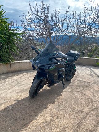 Kawasaki H2 SX Negra y Verde