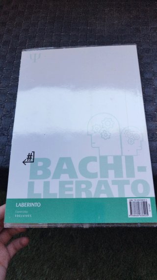 Psicología, 2º Bachillerato, Laberinto