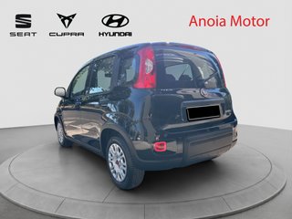 FIAT PANDA HYBRID 70CV 2024