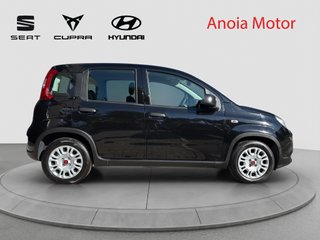 FIAT PANDA HYBRID 70CV 2024