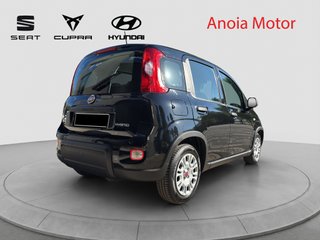 FIAT PANDA HYBRID 70CV 2024
