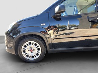 FIAT PANDA HYBRID 70CV 2024