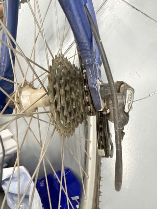 Bicicleta B-PRO YOUNG Azul