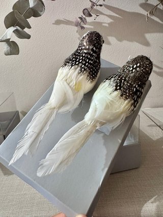 4 Pájaros Decorativos Zara Home