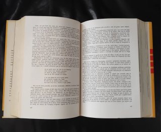Llibre biografia de Verdaguer