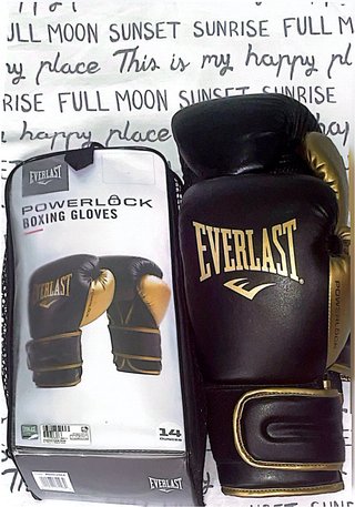 Guantes de Boxeo Everlast Powerlock 14oz negociabl