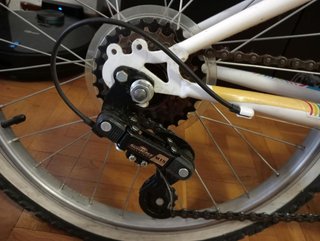 Bicicleta niña 20 pulgadas.