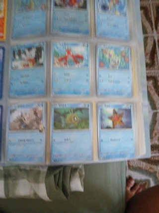 Álbum Pokémon con Cartas