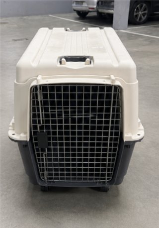 Transportín Sunny SPC-800 con ruedas IATA 81cm