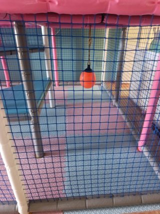Parque infantil con tobogán y piscina de bolas