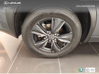 Lexus UX250h PREMIUM 2023 REF 5230