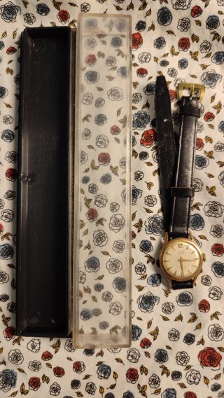 Reloj Vintage Titan Swiss Made 15 Joyas
