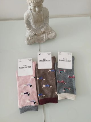 Pack 3 calcetines perros teckel G&C GREEN COTTON